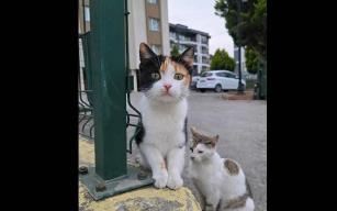 Balık ağı ile alıp!... Yeni anne oldu… İşte o paylaşım…