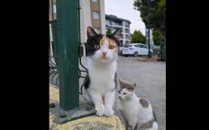 Balık ağı ile alıp!... Yeni anne oldu… İşte o paylaşım…