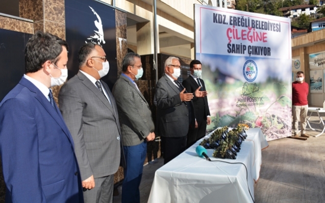 Belediye 2 bin 500 Osmanlı çileği fidesi dağıttı...