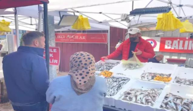 Hamsinin fiyatı gelen balık miktarına göre değişiyor...