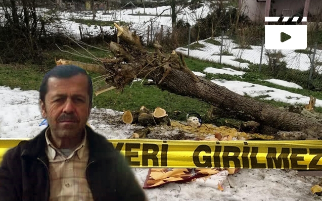 Üzerine ağaç devrilmişti...Son yolculuğuna uğurlandı...