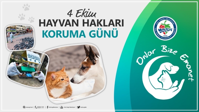 4 Ekim Hayvanları Koruma Günü!