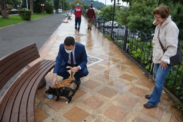 Ereğli’de sokak hayvanlarının beslenme ihtiyacı karşılandı