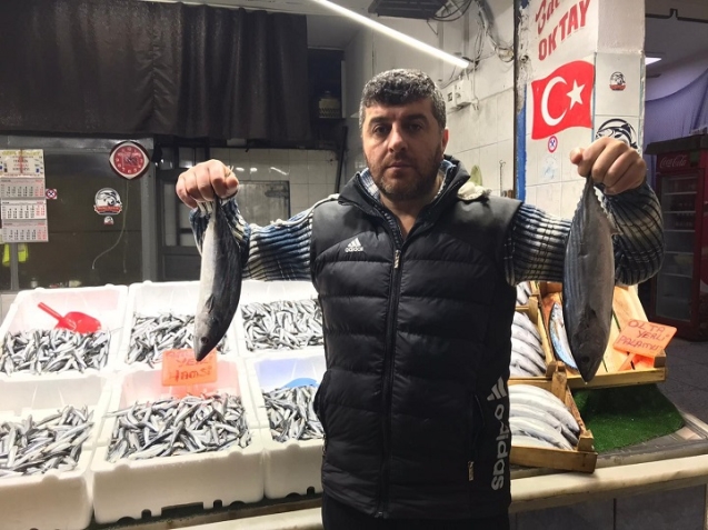 Palamut bitti umut hamside