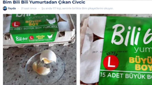 Marketten aldığı yumurtadan civciv çıktı