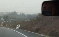 Otomobil su kanalına düştü...