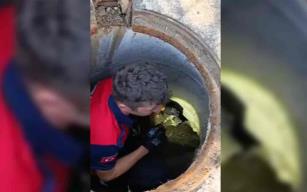 Rögara düşen kedi itfaiye ekibi tarafından kurtarıldı