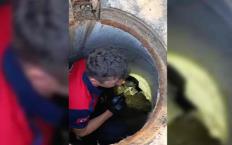 Rögara düşen kedi itfaiye ekibi tarafından kurtarıldı