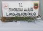 20 kök Hint keneviri ele geçirildi…