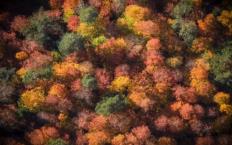 Sonbahar güzelliği kameralara yansıdı… Gözleri kamaştırdı!