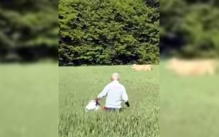 Kaçan kurbanlık boğa ormanda yakaladı...