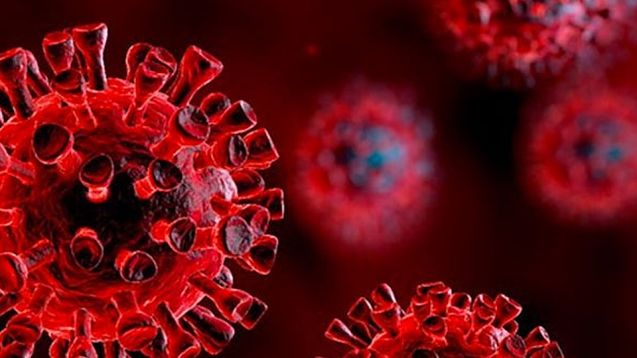 Ölüm sayısı 37'ye yükseldi....