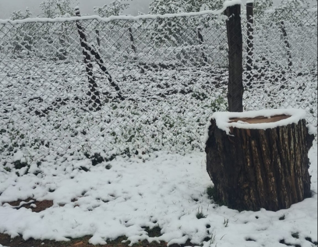 Nisan ayında beyaz örtüyle kaplandı...