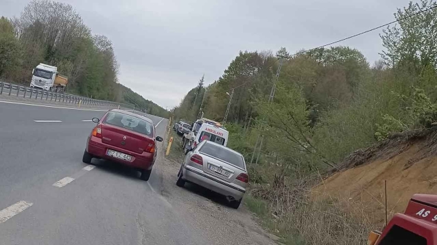 Ambulansı gören meraklandı...