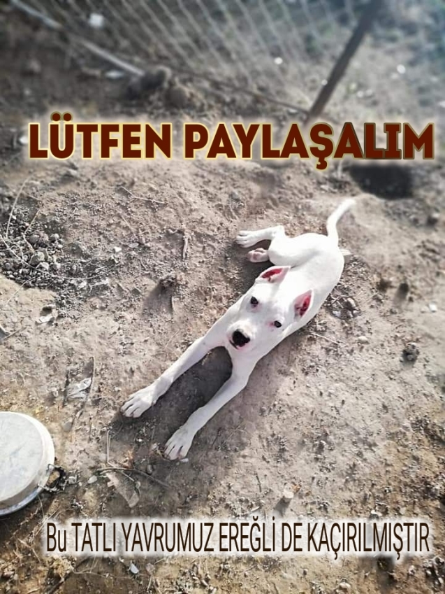 AİLEMDEN KANDIRARAK KAÇIRDILAR!..