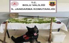 K*nevir eken şüpheli tutuklandı…